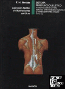 Sistema musculosquelético. Trastornos del desarrollo, tumores, enfermedades reumáticas y reemplazamiento articular
