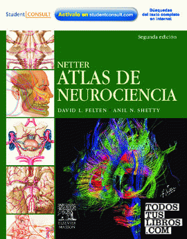 NETTER. Atlas de neurociencia + Student Consult