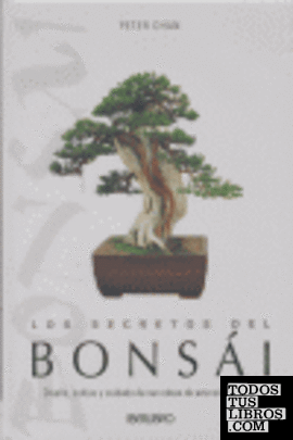 Los secretos del bonsái