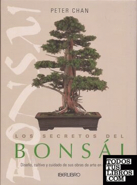 Los secretos del bonsái