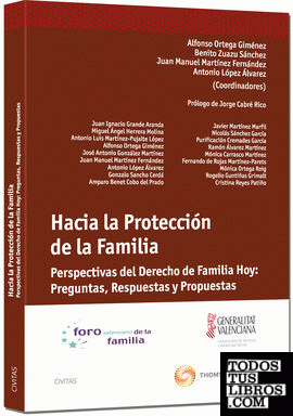 Hacia la protección de la familia - Perspectivas del Derecho de familia hoy: preguntas, respuestas y propuestas