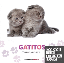 Calendario Gatitos 2015