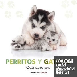 Calendario Perritos y gatitos 2017