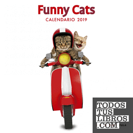 Calendario Funny Cats 2019