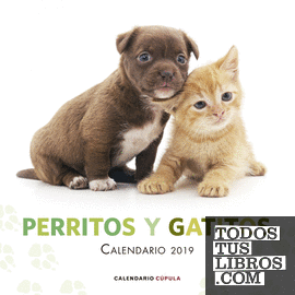 Calendario Perritos y gatitos 2019
