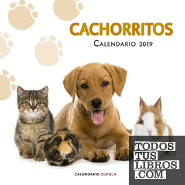 Calendario Cachorritos 2019