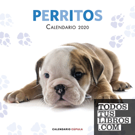 Calendario Perritos 2020