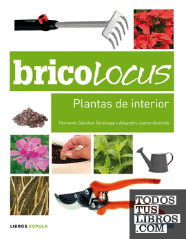 Bricolocus. Plantas de interior