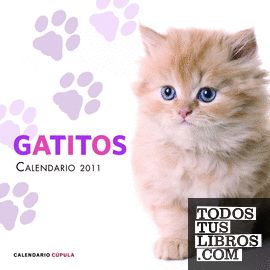 Calendario Gatitos 2011