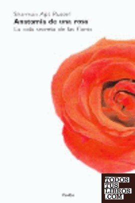 Anatomía de una rosa