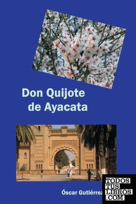 Don Quijote de Ayacata