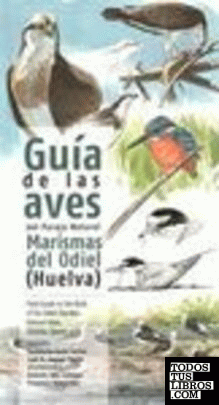 Guía de las aves del paraje natural Marismas del Odiel (Huelva)