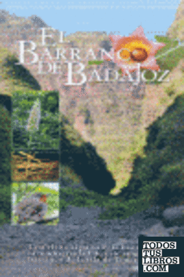 El Barranco de Badajoz
