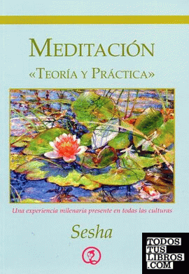 Meditación, teoría y práctica