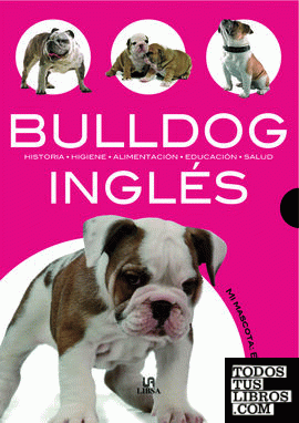 Bulldog Inglés