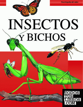 Insectos y Bichos