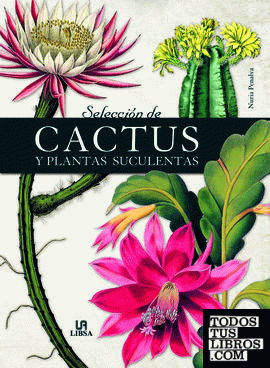 Selección de Cactus y Plantas Suculentas