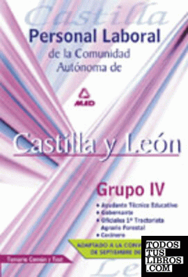 Personal laboral, Comunidad Autónoma de Castilla y León, grupo IV. Temario común y test