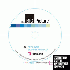 BIG PICTURE BEGINNER WORKBOOK+CD [A1]