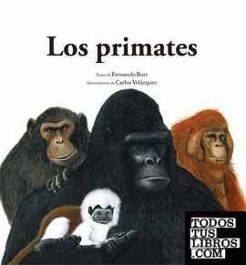 Los primates