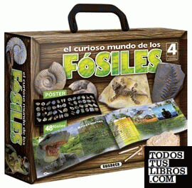 El curioso mundo de los fósiles
