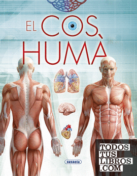 El cos humà