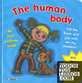 The human body