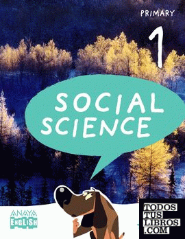 Social Science 1. In focus.