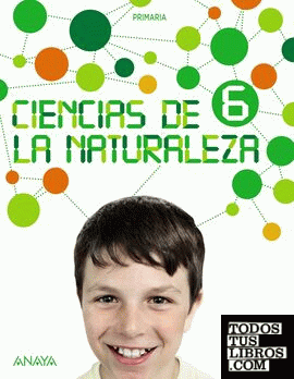 Ciencias de la Naturaleza 6. Natural Science 6 In focus.