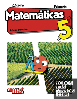 Matemáticas 5. (Taller de resolución de problemas)
