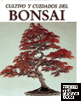 Com conrea i tenir cura del bonsai