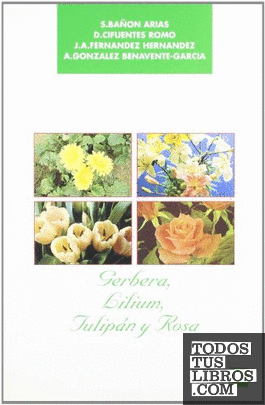 Gerbera , lilium, tulipán y rosa