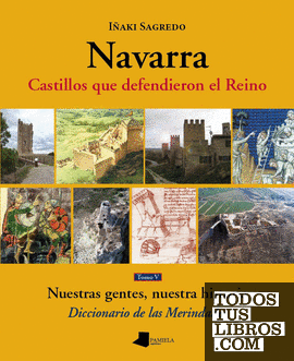 Navarra. Castillos que defendieron el Reino -tomo V-