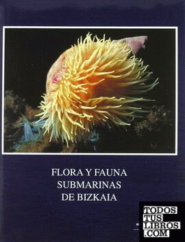 Flora y fauna submarinas de Bizkaia