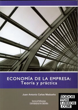 Economía de la empresa: teoría y práctica