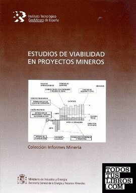 Estudios de viabilidad en proyectos mineros