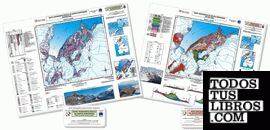 Mapas geomorfológico y geológico de Bahía Esperanza escala 1:10.000 - Antártida