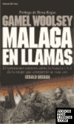 Málaga en llamas