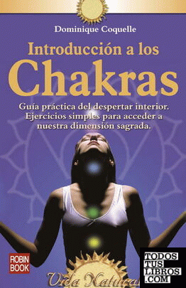 Introducción a los chakras