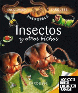 Insectos y otros bichos
