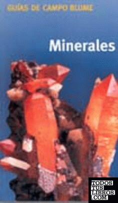 Guía Campo Minerales