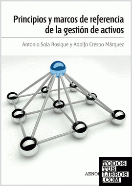 Principios y marcos de referencia de la gestión de activos Principios y marcos de referencia de la gestión de activos
