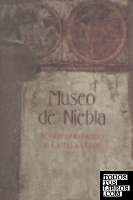 Museo de Niebla