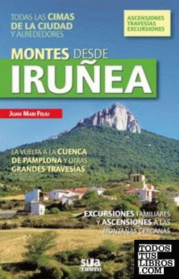 Montes desde Iruñea