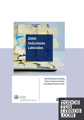 2000 soluciones laborales 2010