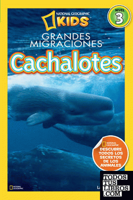 Cachalotes