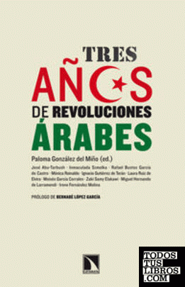 Tres años de revoluciones árabes