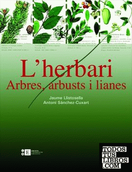 L'herbari: arbres, arbusts i lianes