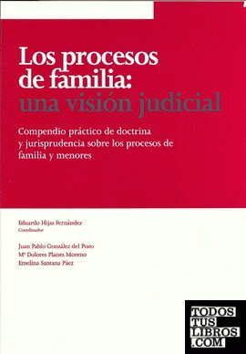 Procesos de familia, los. Una vision judicial Procesos de familia, los. Una vision judicial