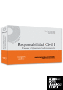 Responsabilidad Civil I: Causas y Quantum Indemnizatorio